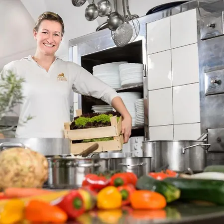 酒店 Zum Goldenen Loewen *